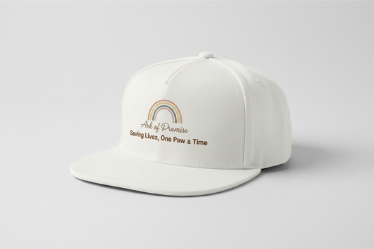 Front & Back Snapback